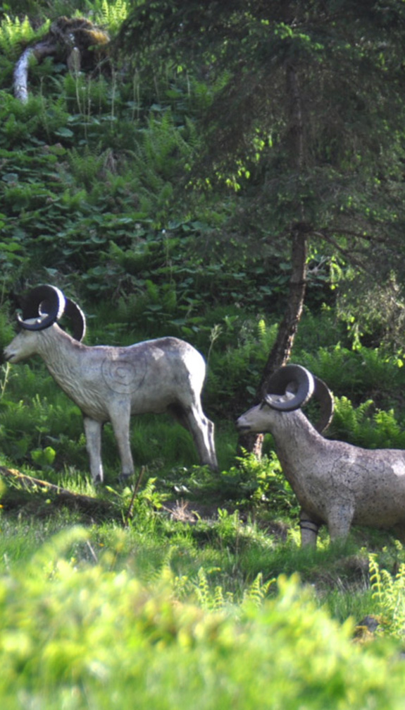 Steinbock Holzstatue im Wald | © Der Fotoigel